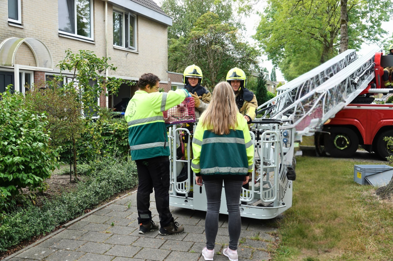 EHBO-test Geredde kat overdragen aan dierenambulance.